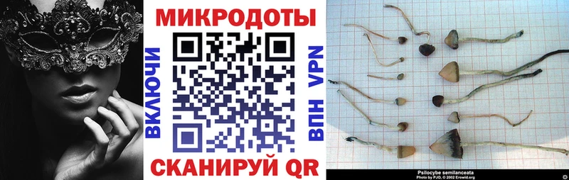 Галлюциногенные грибы прущие грибы  хочу наркоту  Крым 
